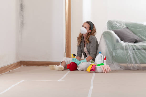 Reliable Black Mold Removal contractor in Bellmawr, NJ by WQB Mold Removal